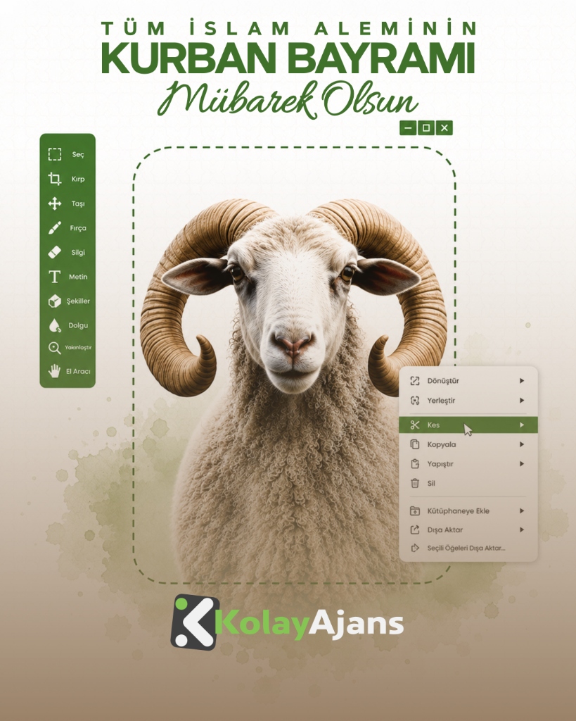 kolay.ajans Tasarımı